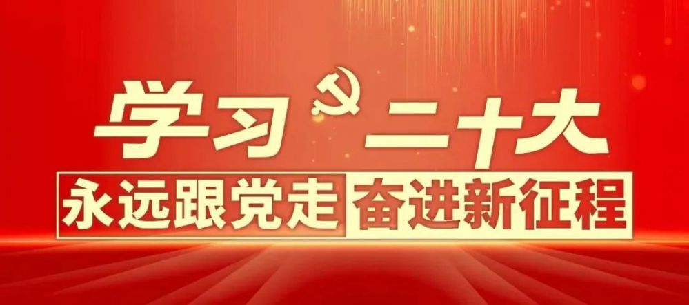 学习贯彻党的二十大精神 ④